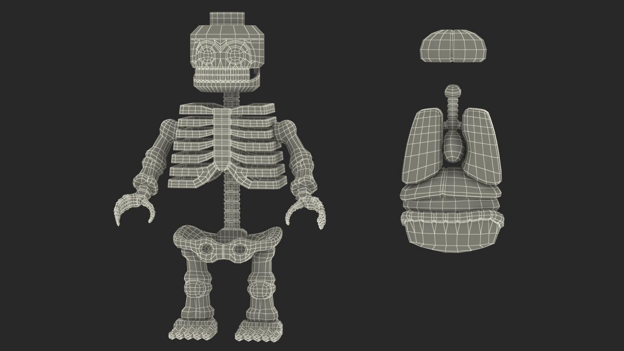 3D Anatomical LEGO Man Transparent