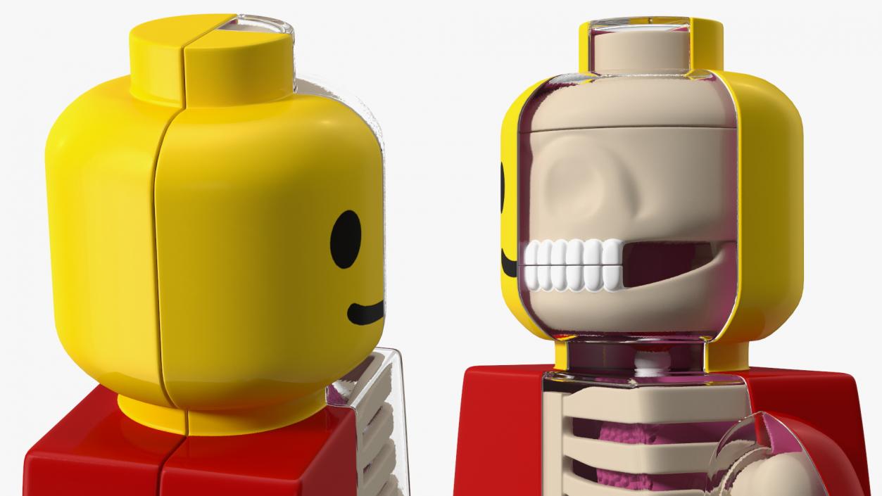 3D Anatomical LEGO Man Transparent