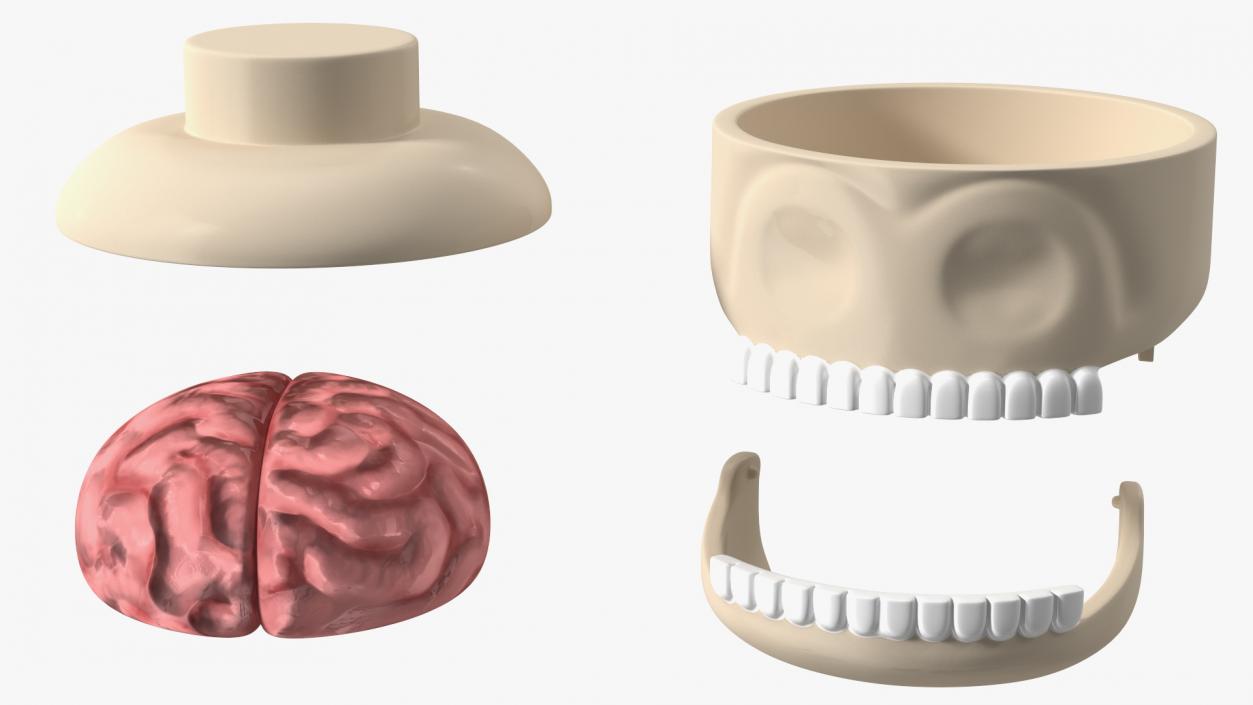 3D Anatomical LEGO Man Transparent