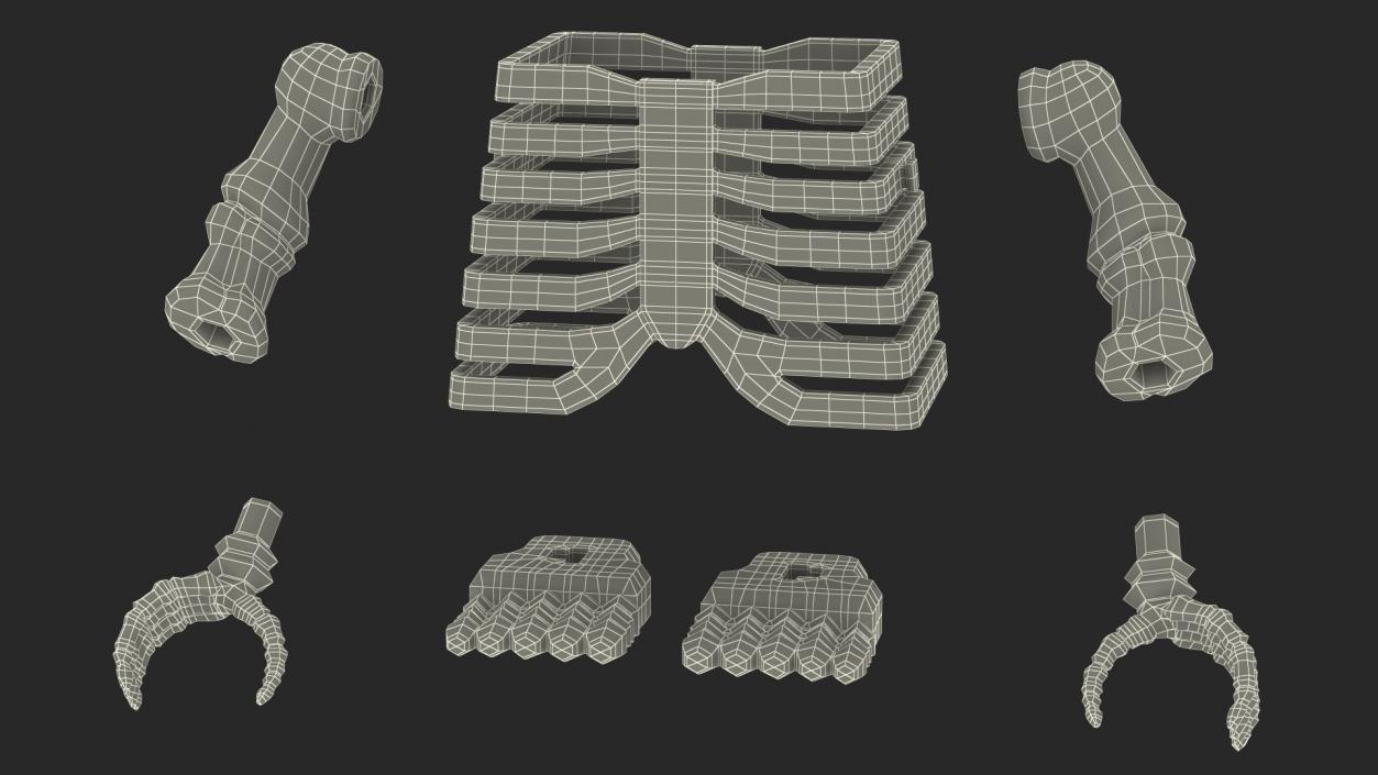 3D Anatomical LEGO Man Transparent