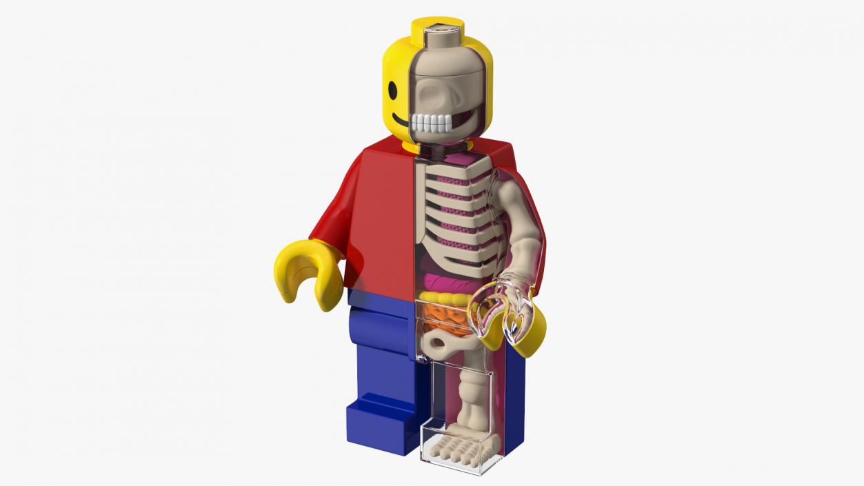 3D Anatomical LEGO Man Transparent