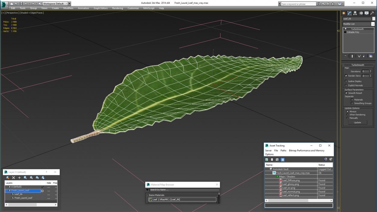 Fresh Laurel Leaf 3D