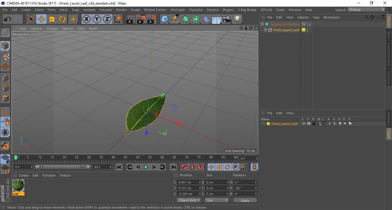 Fresh Laurel Leaf 3D