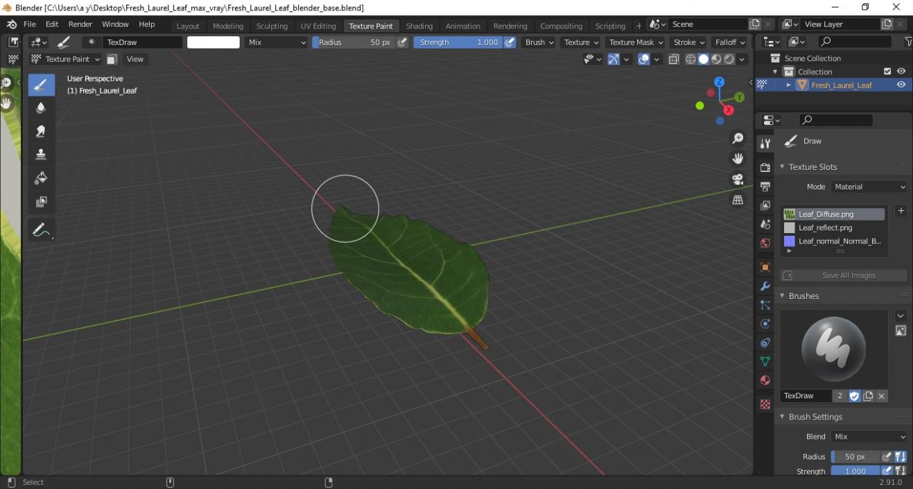 Fresh Laurel Leaf 3D