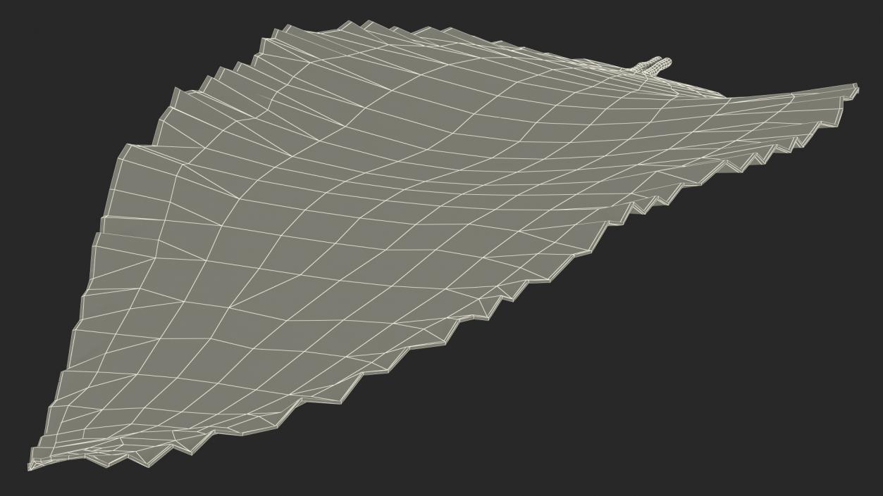 Fresh Laurel Leaf 3D