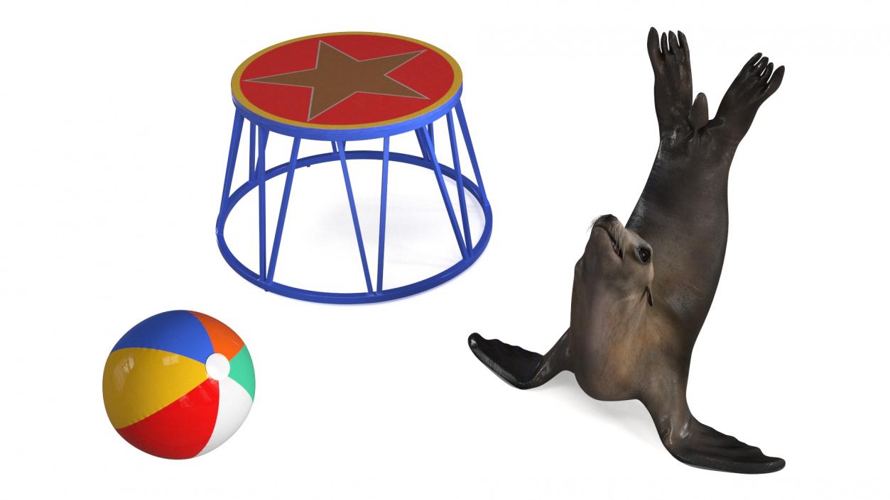 Seal on a Circus Stand 3D