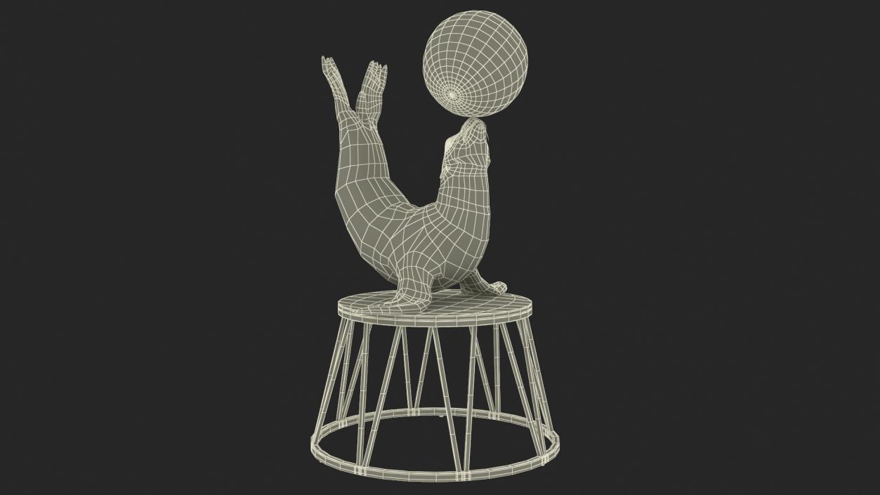 Seal on a Circus Stand 3D