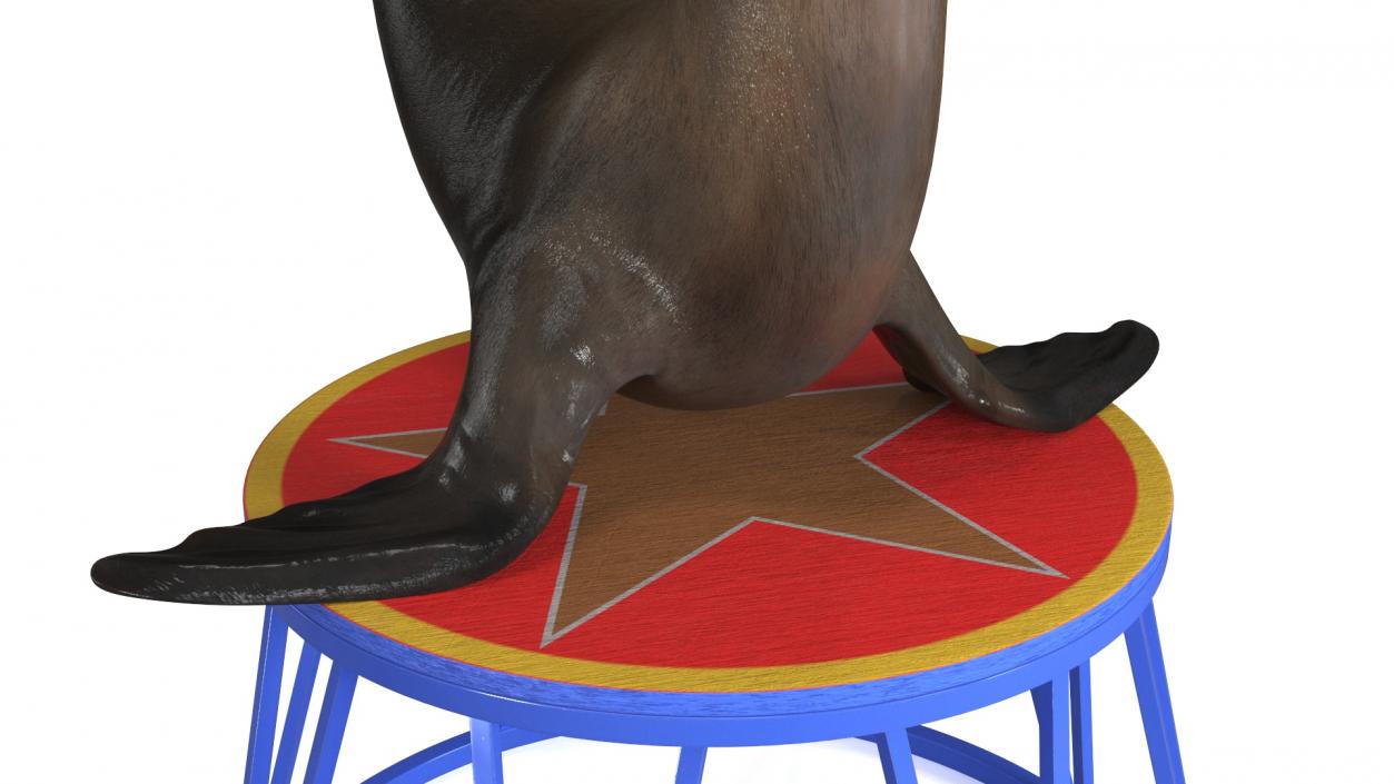 Seal on a Circus Stand 3D