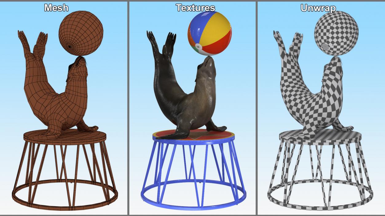 Seal on a Circus Stand 3D