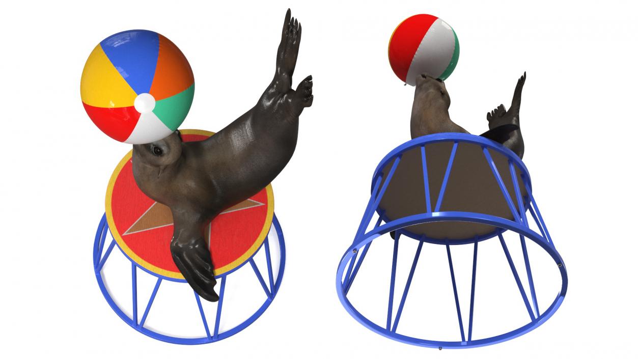 Seal on a Circus Stand 3D