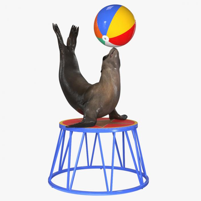 Seal on a Circus Stand 3D