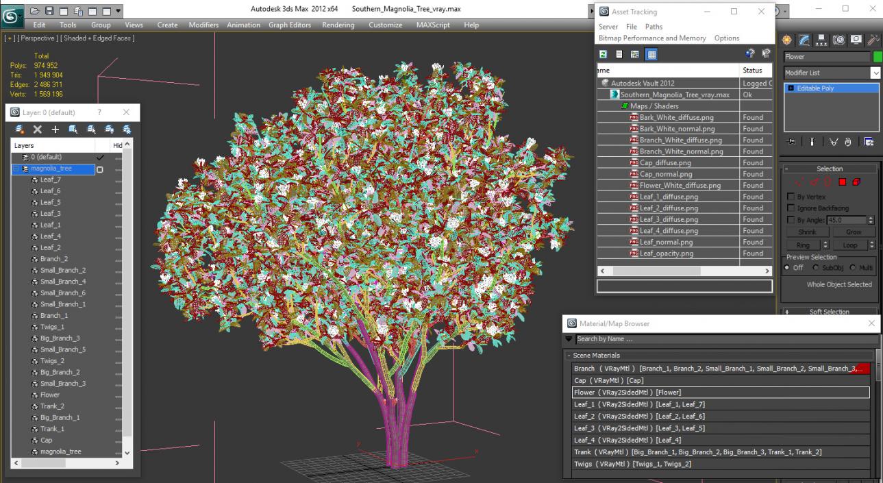 Southern Magnolia Tree 3D