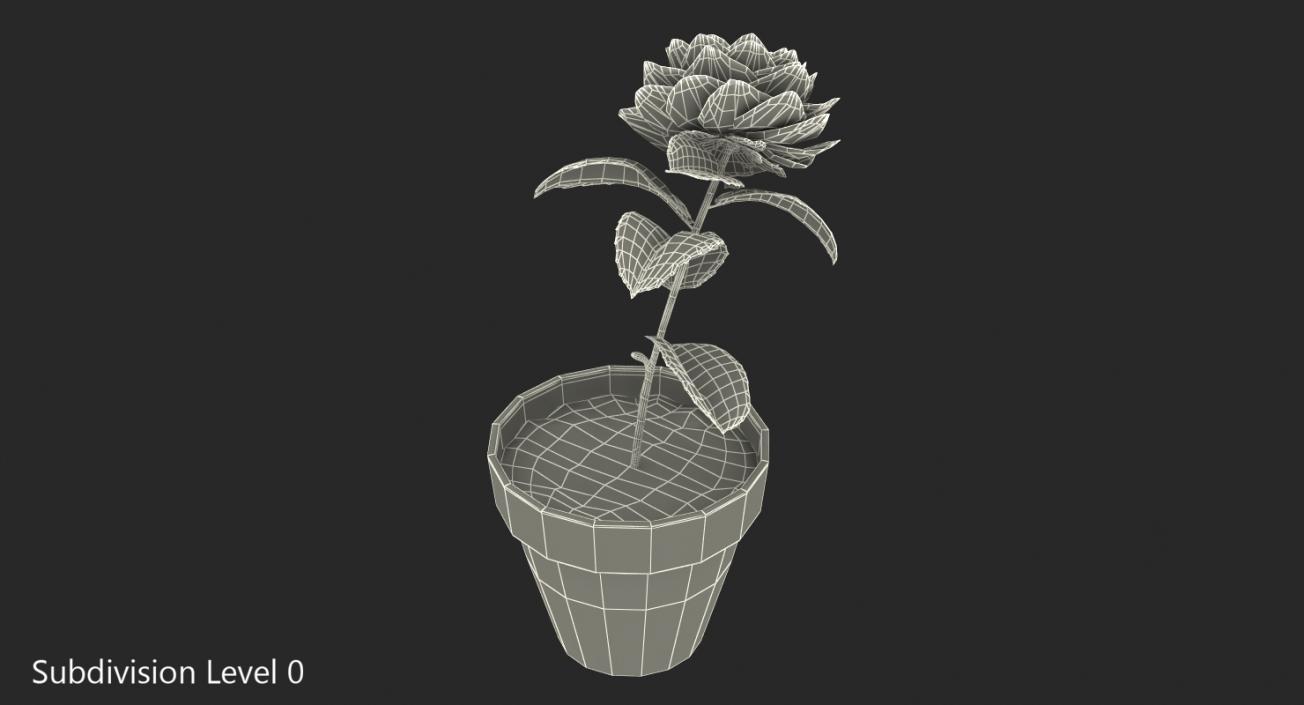 3D Flower Camelia in Pot