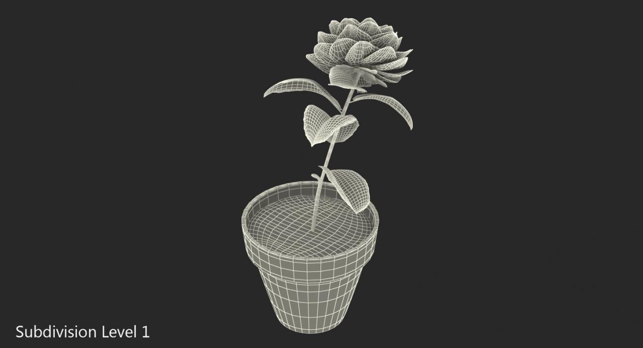 3D Flower Camelia in Pot