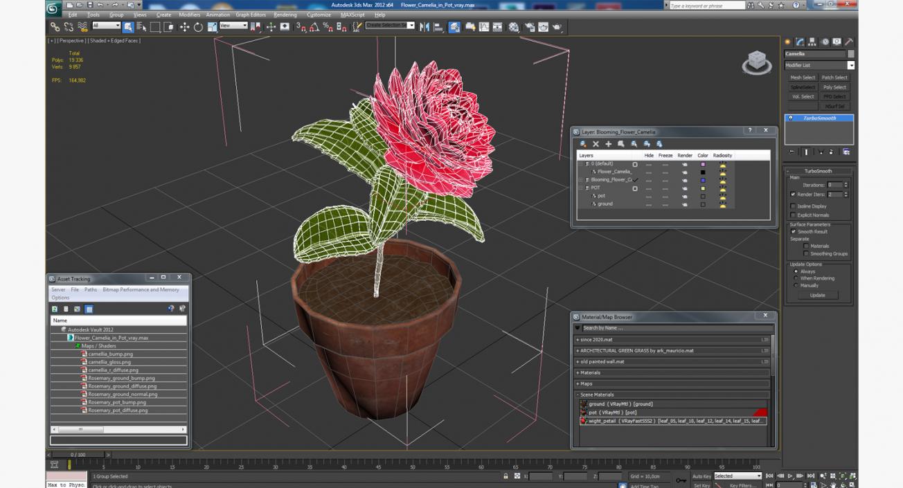 3D Flower Camelia in Pot