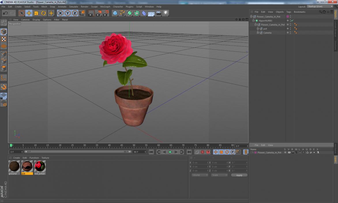 3D Flower Camelia in Pot