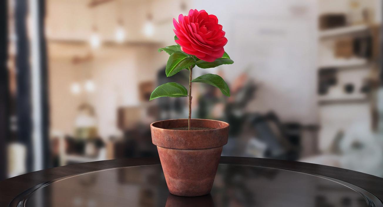 3D Flower Camelia in Pot