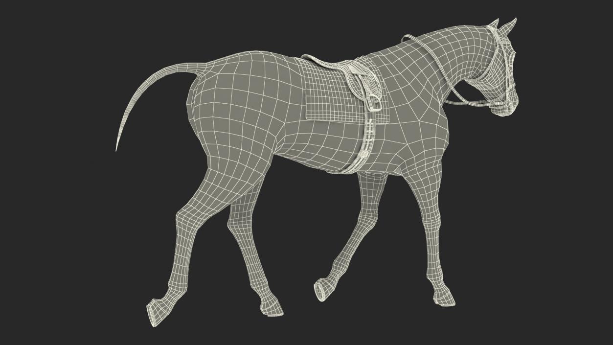 White Racehorse Gait Pose Fur 3D model