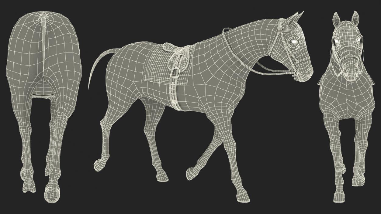 White Racehorse Gait Pose Fur 3D model