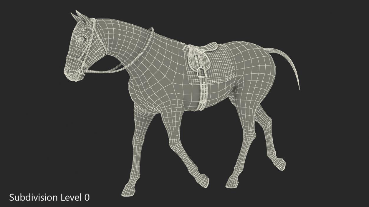 White Racehorse Gait Pose Fur 3D model