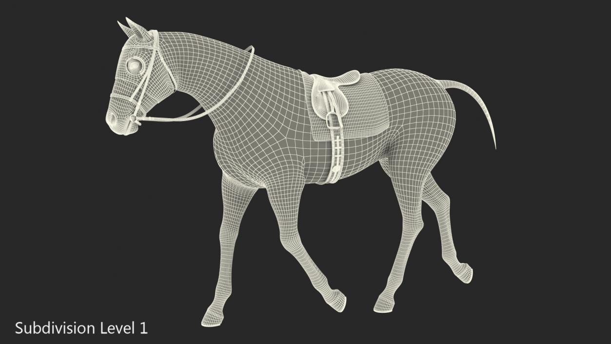 White Racehorse Gait Pose Fur 3D model