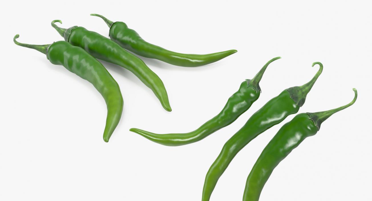 3D Green Chili Pepper model