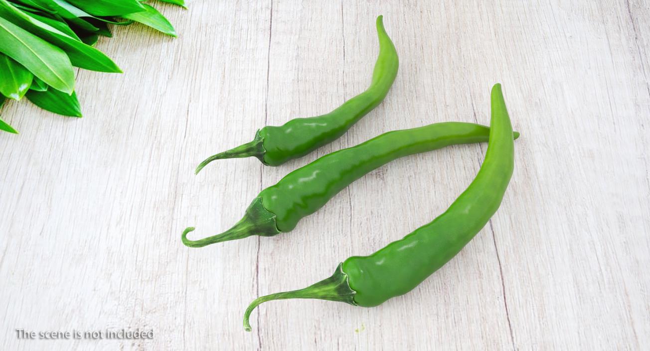 3D Green Chili Pepper model