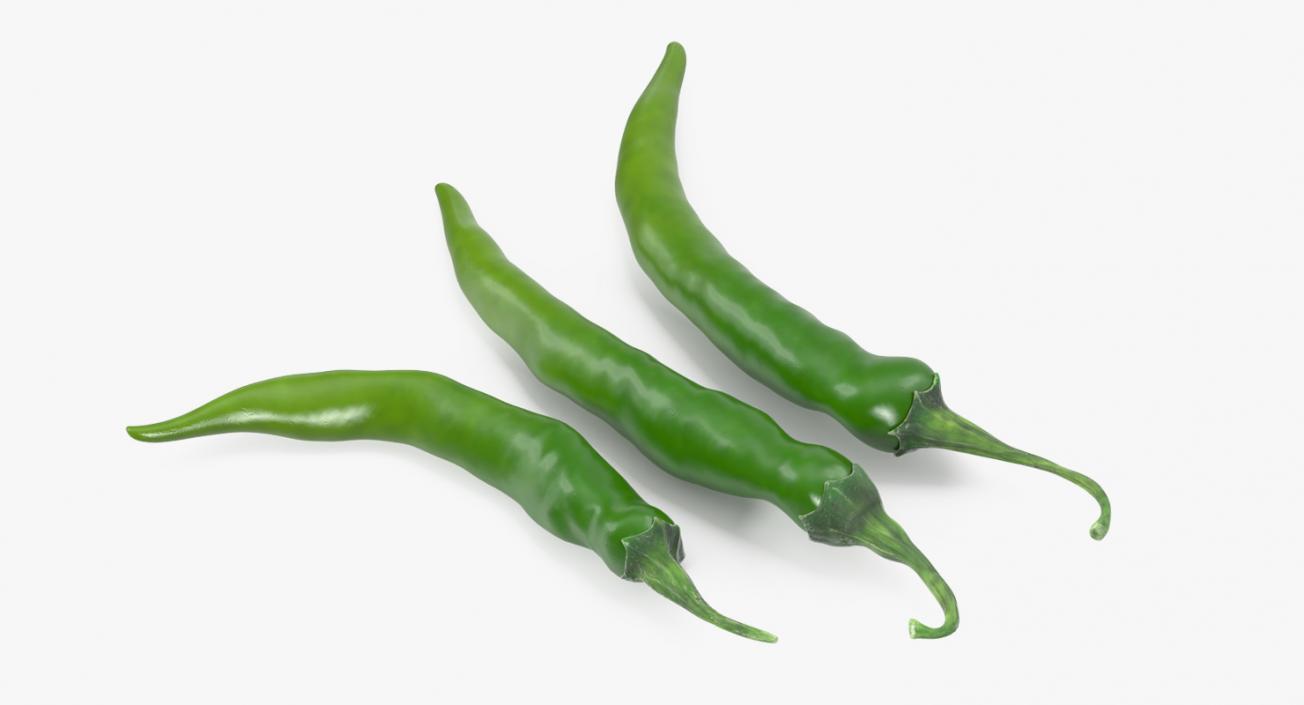 3D Green Chili Pepper model