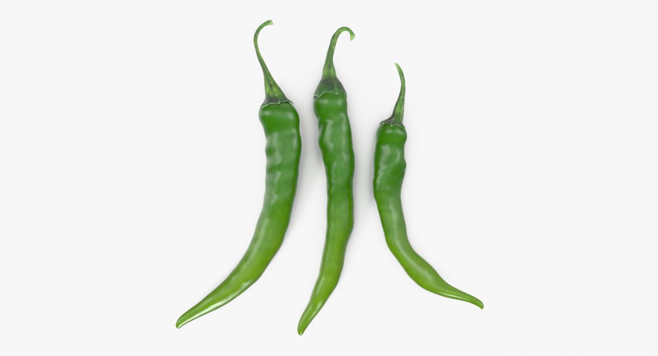 3D Green Chili Pepper model