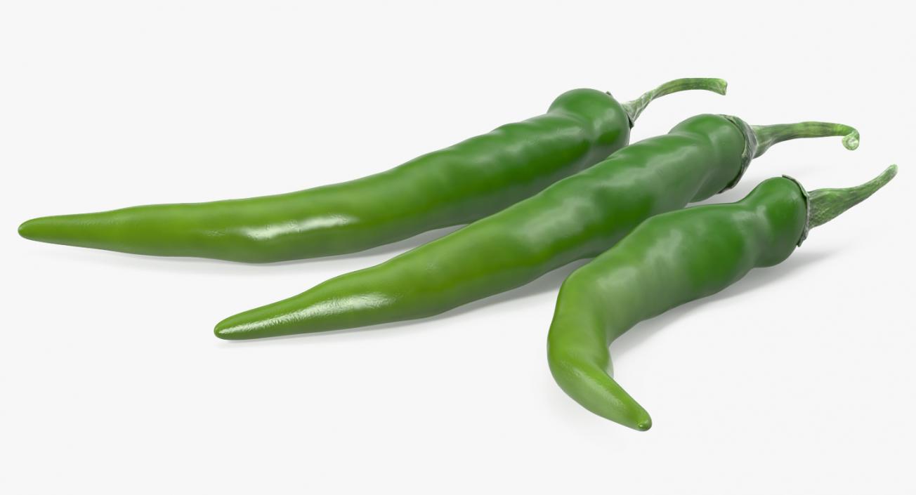 3D Green Chili Pepper model