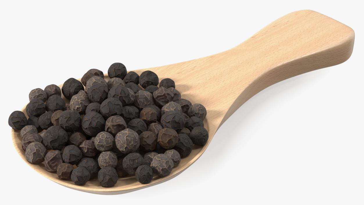 3D Spoon of Dried Peppercorn Black 2 model