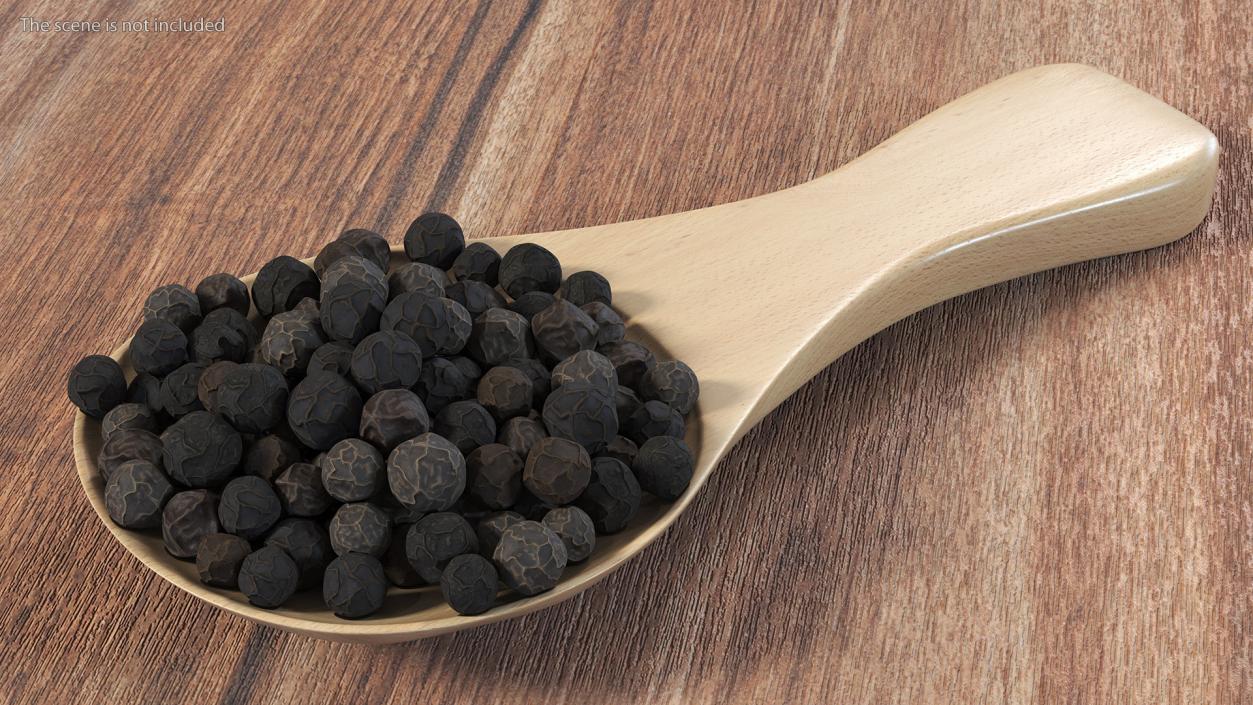 3D Spoon of Dried Peppercorn Black 2 model