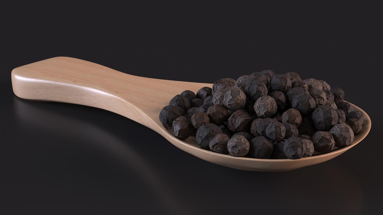 3D Spoon of Dried Peppercorn Black 2 model