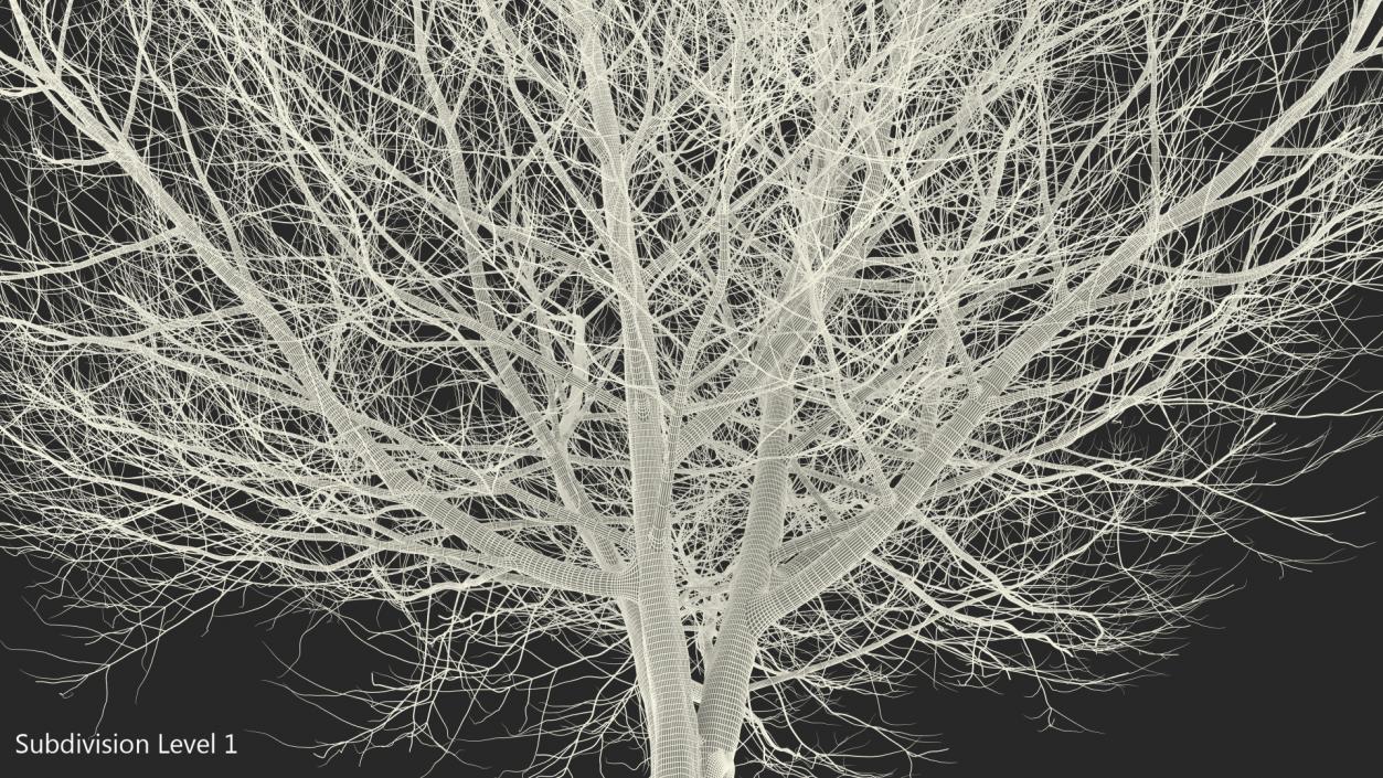 3D White Ash Winter