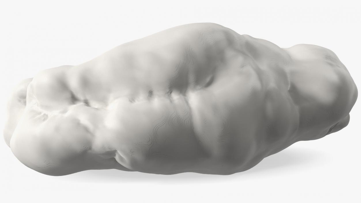 3D model White Chewed Bubble Gum with Teeth Marks