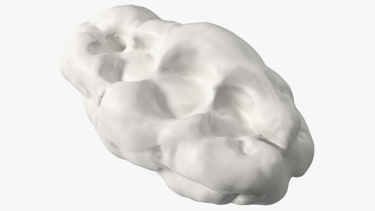 3D model White Chewed Bubble Gum with Teeth Marks