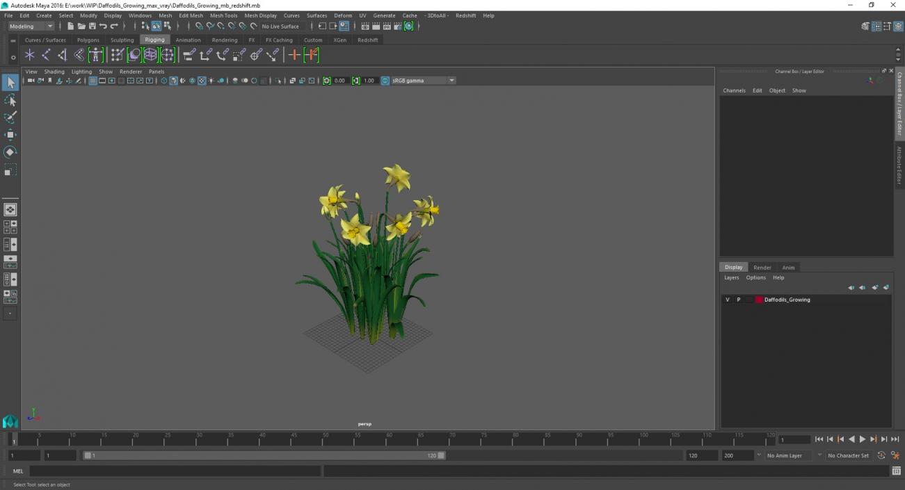 Daffodils Growing 3D