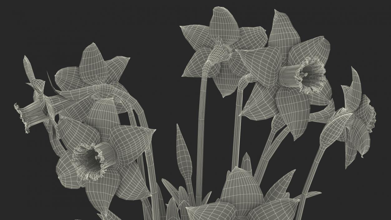 Daffodils Growing 3D