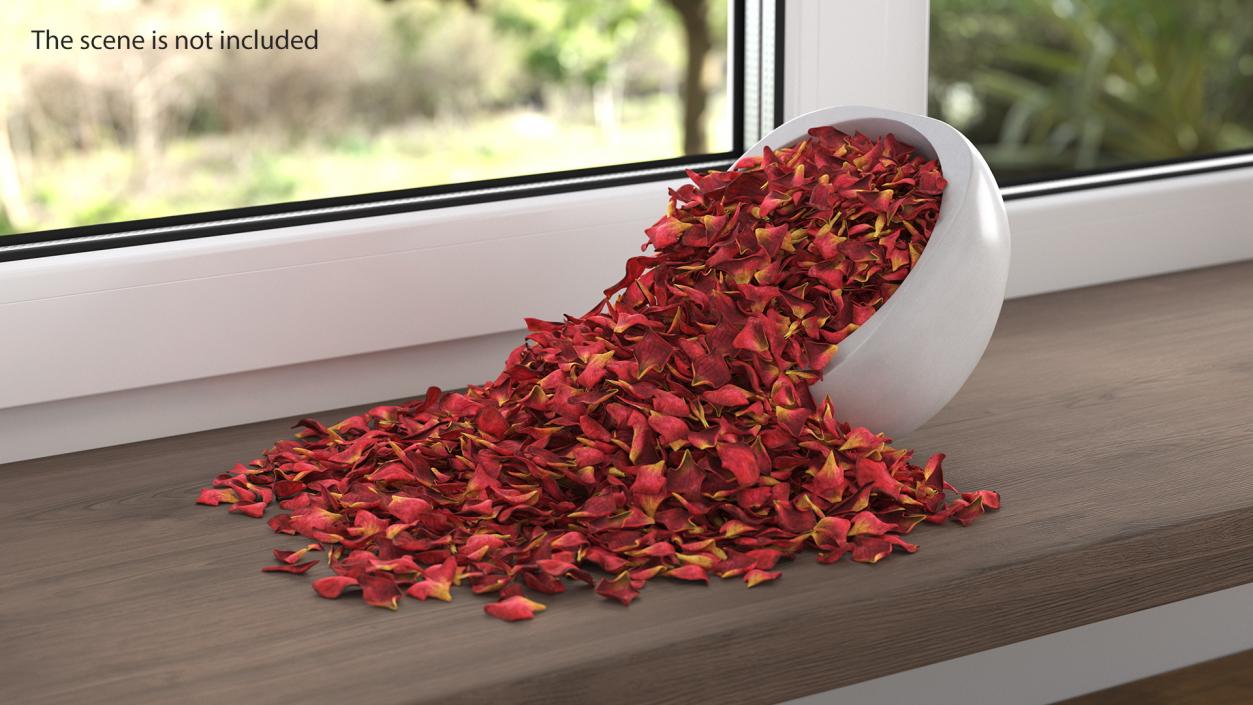 Dried Rose Petals Scattered from a Bowl 3D model