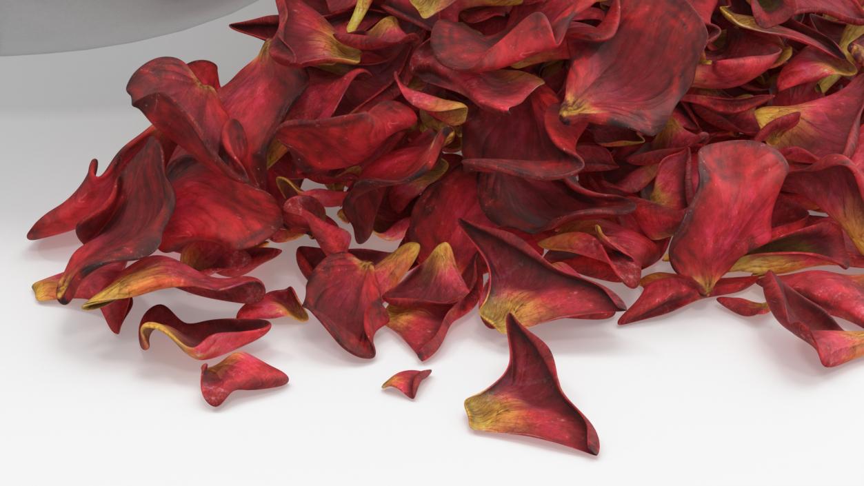 Dried Rose Petals Scattered from a Bowl 3D model