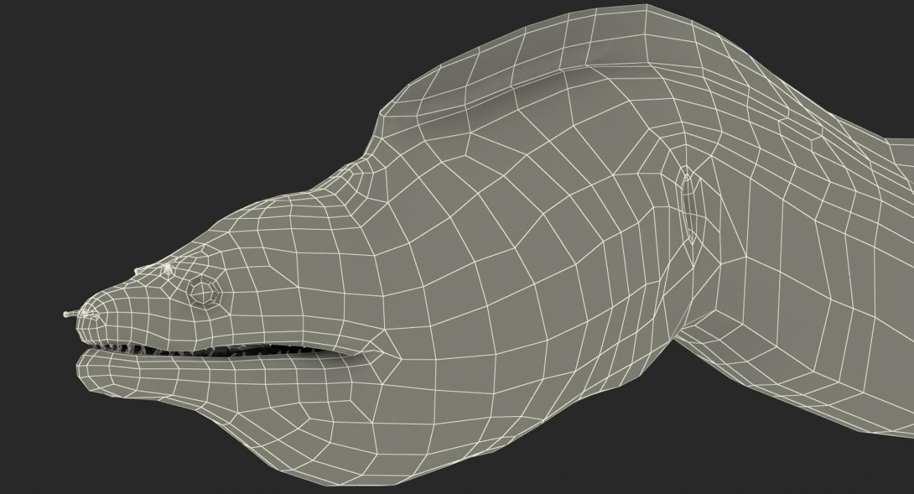 3D model Murena Swimming