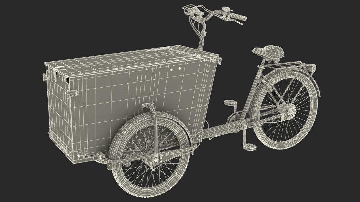 3D model Cargo Bike