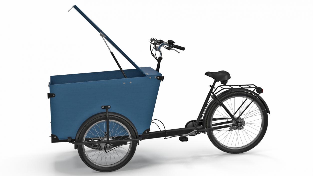 3D model Cargo Bike