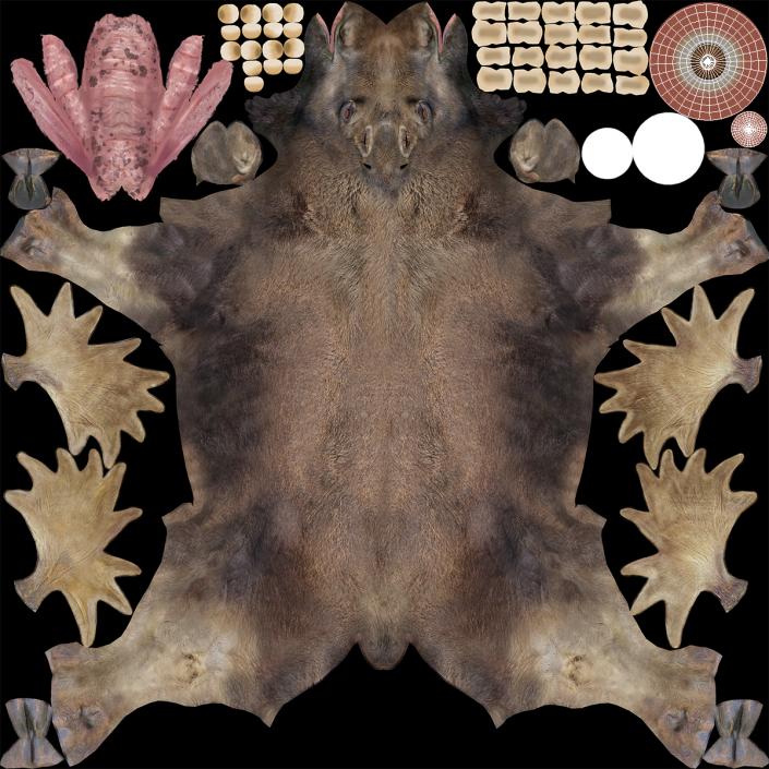 Bull Moose Fur 3D model