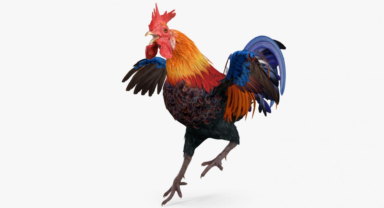 Cockfighting 3D