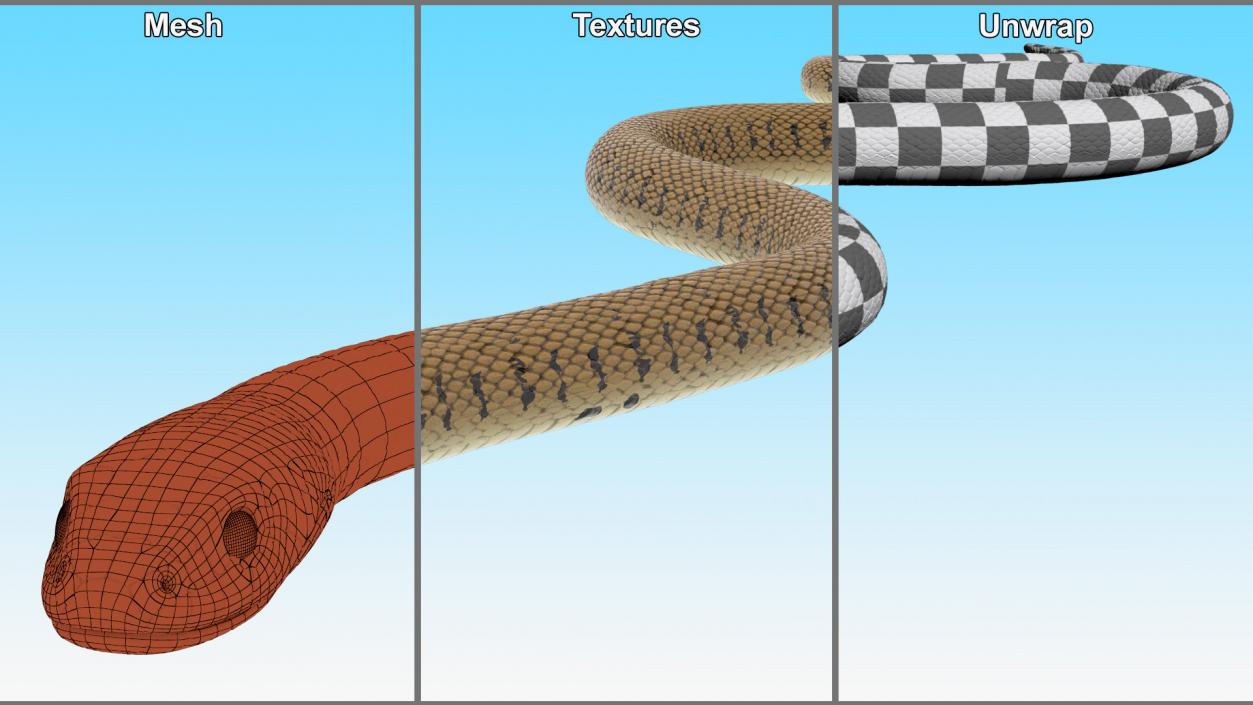 3D model Grass Snake Brown Rigged for Maya 2