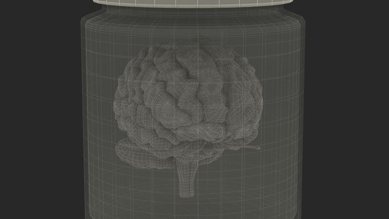 Human Brain in Glass Jar 3D model