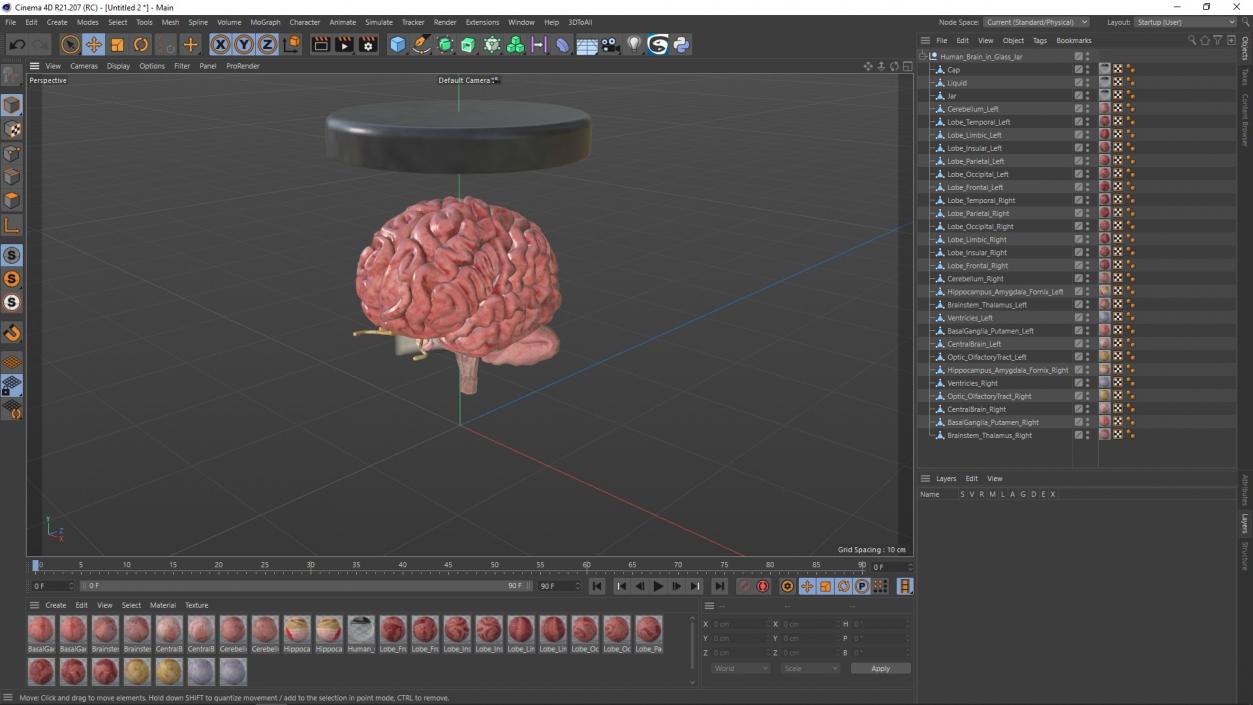 Human Brain in Glass Jar 3D model