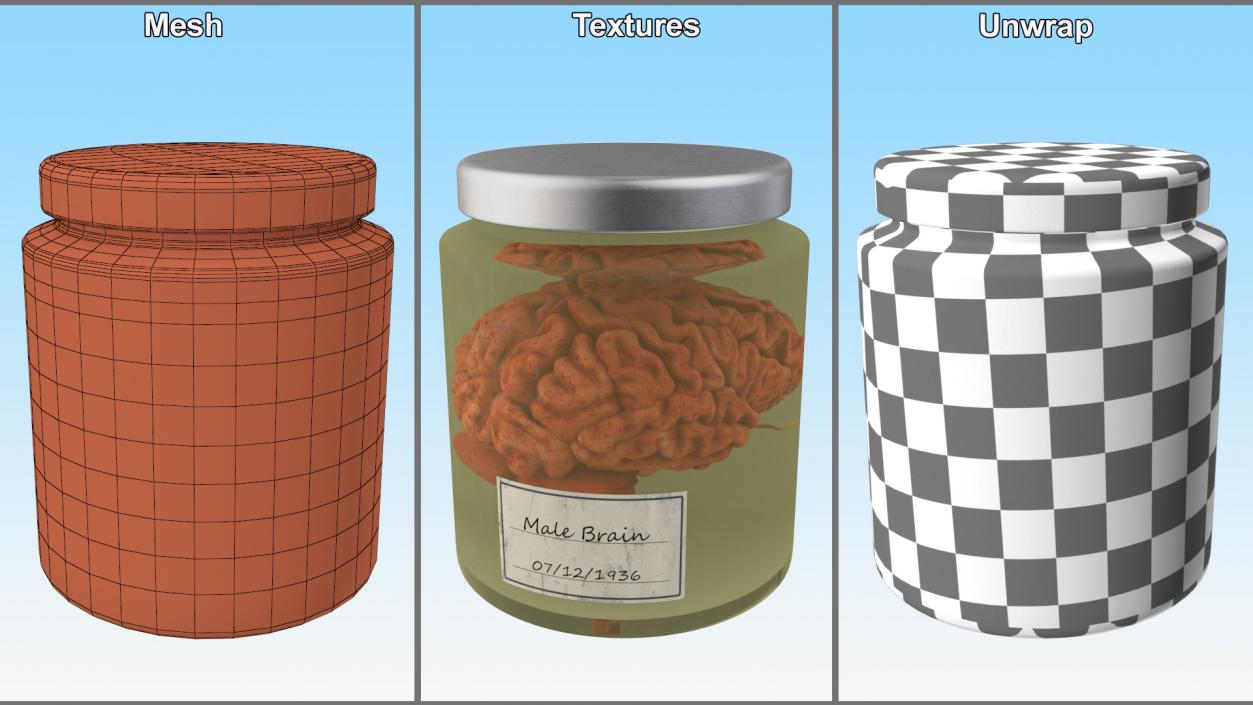 Human Brain in Glass Jar 3D model