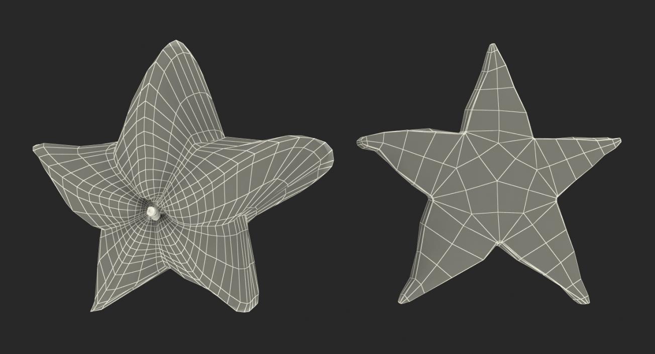 Star Fruit Set 3D model